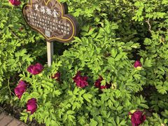-洛阳市隋唐城遗址植物园