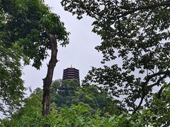 -青城山
