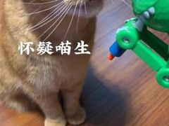 -万达影城(武进万达广场IMAX店)