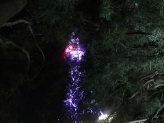 -金鸡山公园