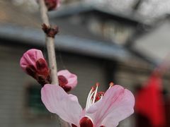 -和平门菜市场