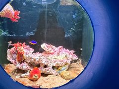 -欢乐海岸海洋奇梦馆