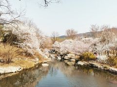 -国家植物园