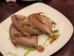 -京香轩·中餐厅(上海中庚聚龙酒店)