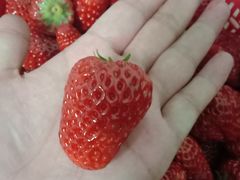 -盒马鲜生(观音桥店)