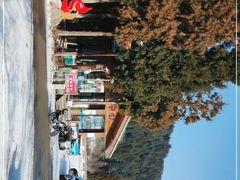 -武陵山森林公园