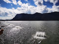 -海埂大坝