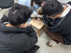 -中国农业大学动物医院
