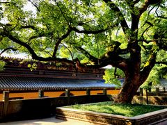 -普陀山风景名胜区-法雨禅寺
