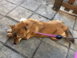 -BARBERKING男士理发馆barber shop