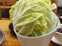 白菜-金生隆(六铺炕店)