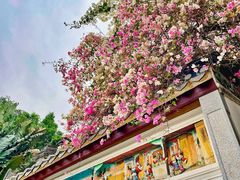 -深圳国际园林花卉博览园