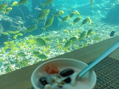-海棠湾洲际-涛·海底餐厅·美人鱼·自助餐·海底隧道