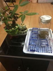 点击看大图 -本真坊美容美体沙龙