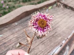 -雪山彩虹谷景区