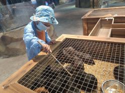 -酷嗒动物文化乐园(cutezoo西溪乐天城店)