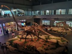 -自贡恐龙博物馆