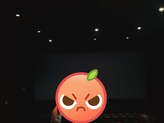 -万达影城(东城万达广场IMAX店)