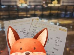 -武商摩尔影城(国广IMAX激光店)