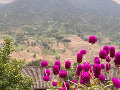 -篁岭景区