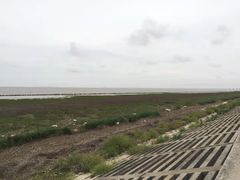 -南汇嘴观海公园