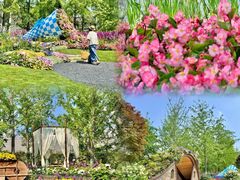 -武汉园博园(武汉自然博物馆)