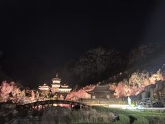 -禅宗少林·音乐大典