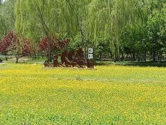-北坞公园