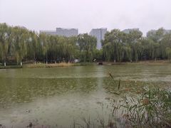 -大兴滨河森林公园