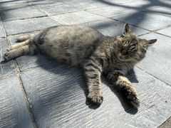 -终南山南五台景区