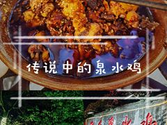 -老幺泉水鸡