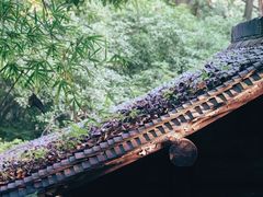 -杭州半山国家森林公园