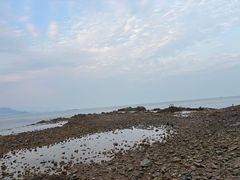 -小麦岛公园