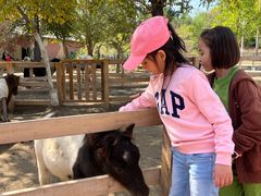 -水上乐园·欢乐世界