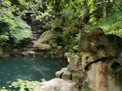 -十八棵（老龙井）御茶园(老龙井店)