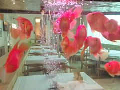 -原鄉本味 楚菜 丹江口鱼(北苑店)