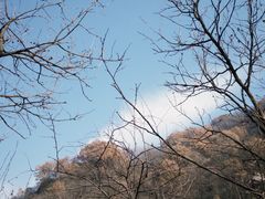 -抱龙峪