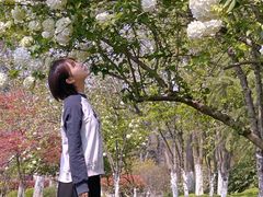 -杭州城北体育公园