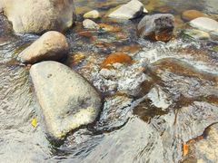 -海南热带雨林国家公园吊罗山景区