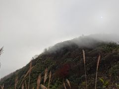 -大围山国家森林公园