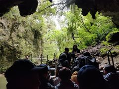 -怀托摩萤火虫洞