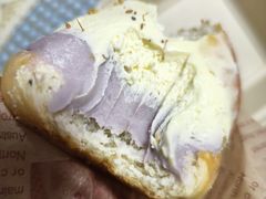 -面包日报