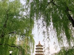 -宝岛公园