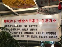 -蘑统田下·野生菌火锅