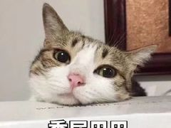 -望湘园·洞庭渔宴(永旺店)