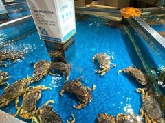 -盒马鲜生(悦峰店)