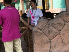 -热带风暴水上乐园(新镇路)
