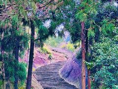 -太姥山风景名胜区