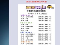 -枫花园汽车电影院(朝阳公园店)