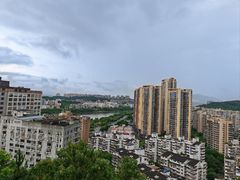 -福道